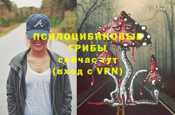 герыч Осташков